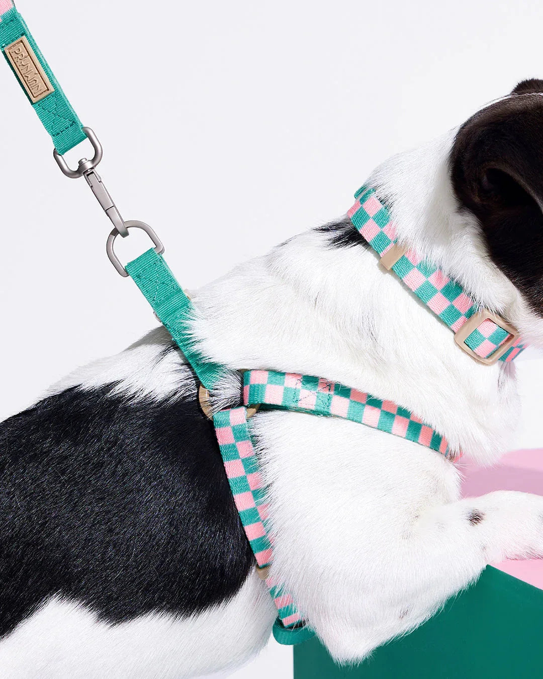 Prynwan Prynometry Step-In Harness Green Pink