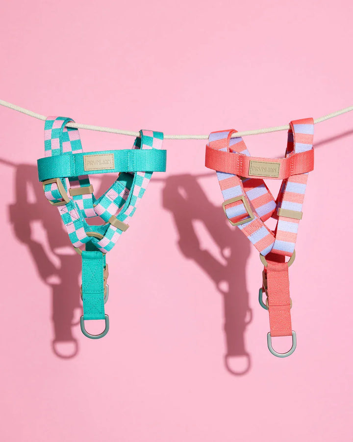 Prynwan Prynometry Step-In Harness Green Pink