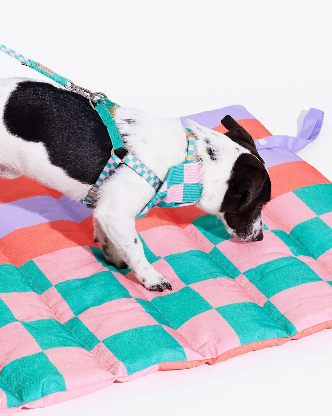 Prynwan Prynometry Step-In Harness Green Pink
