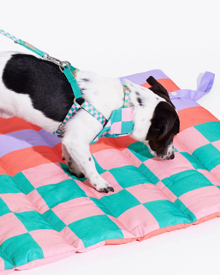 Prynwan Prynometry Step-In Harness Green Pink