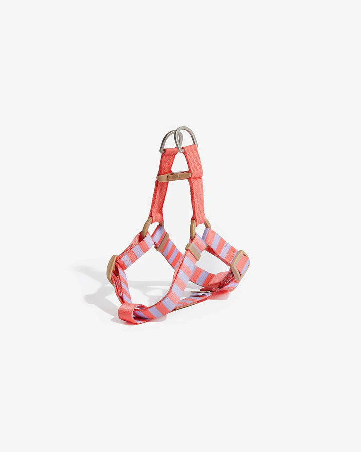 Prynwan Prynometry Step-In Harness Purple Pink