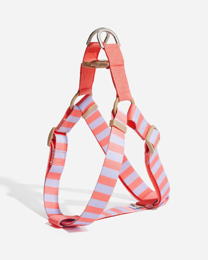 Prynwan Prynometry Step-In Harness Purple Pink