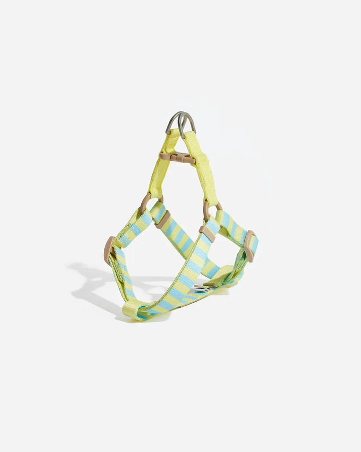 Prynwan Prynometry Step-In Harness Yellow Baby Blue