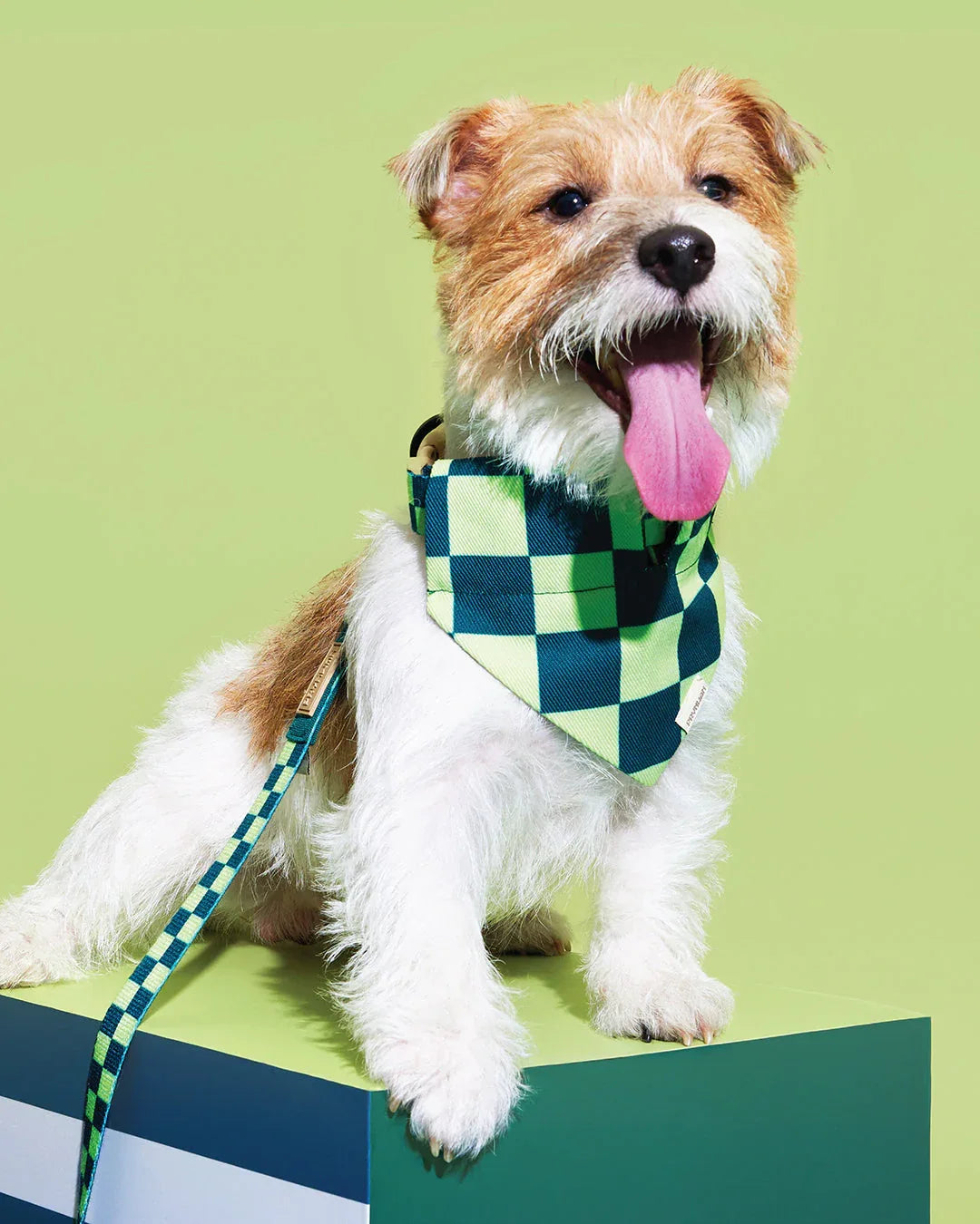 Prynwan Prynometry Triangle Bandana Checkered Green