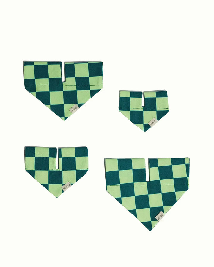 Prynwan Prynometry Triangle Bandana Checkered Green