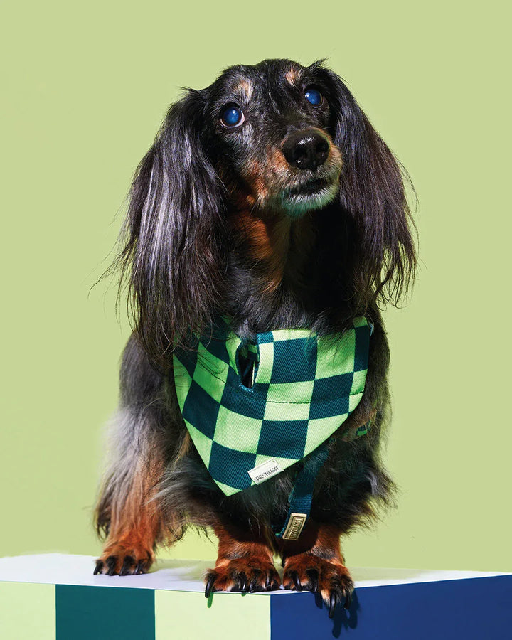 Prynwan Prynometry Triangle Bandana Checkered Green