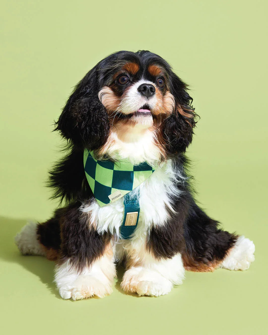 Prynwan Prynometry Triangle Bandana Checkered Green