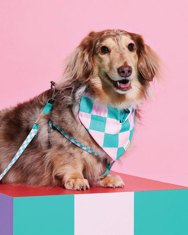 Prynwan Prynometry Triangle Bandana Green Pink
