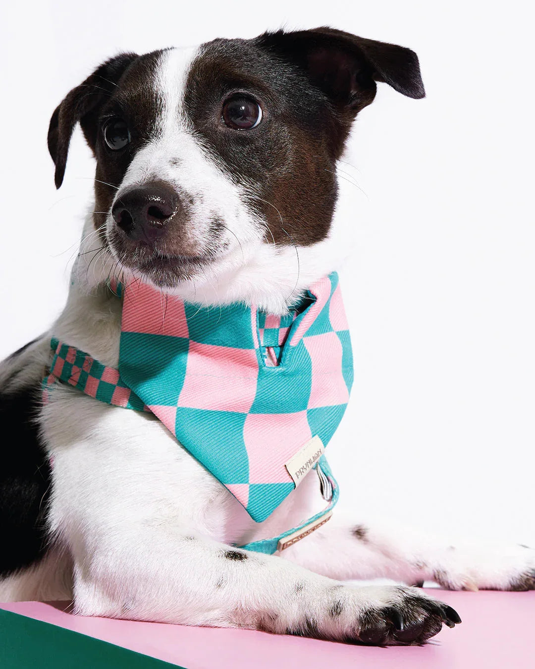 Prynwan Prynometry Triangle Bandana Green Pink