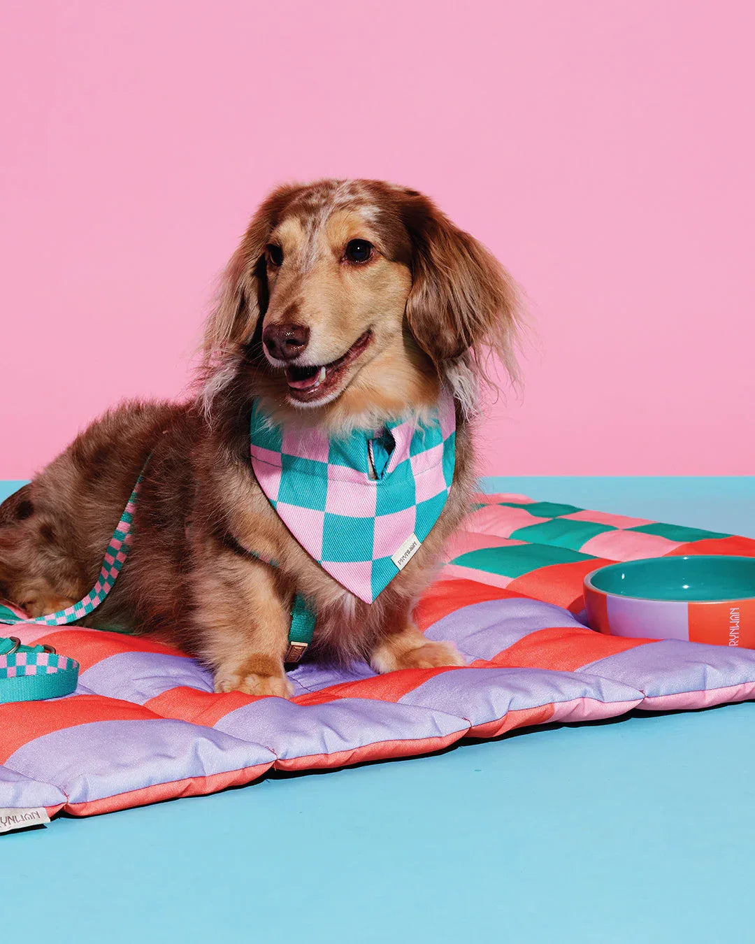 Prynwan Prynometry Triangle Bandana Green Pink