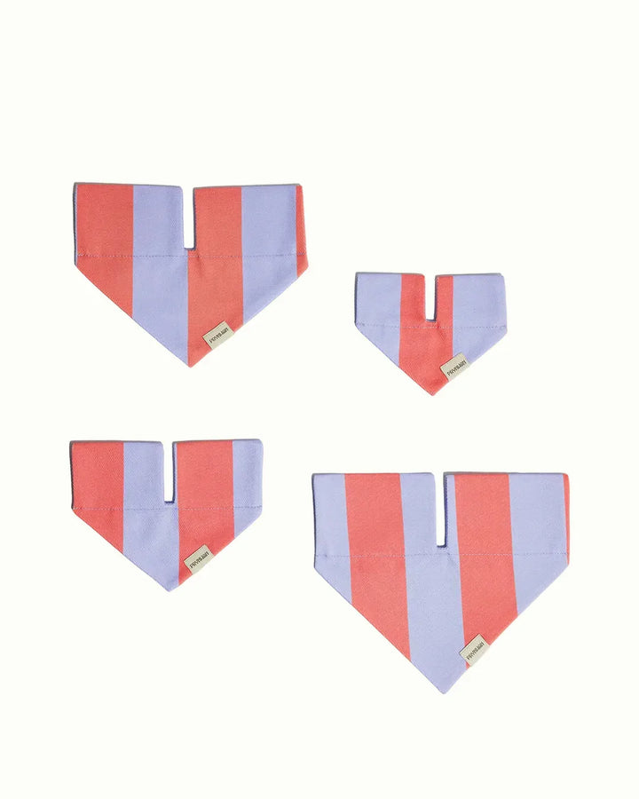 Prynwan Prynometry Triangle Bandana Purple Pink