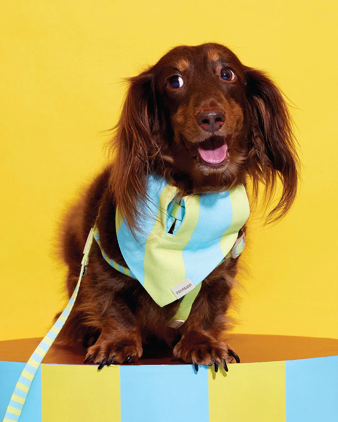 Prynwan Prynometry Triangle Bandana Yellow Baby Blue
