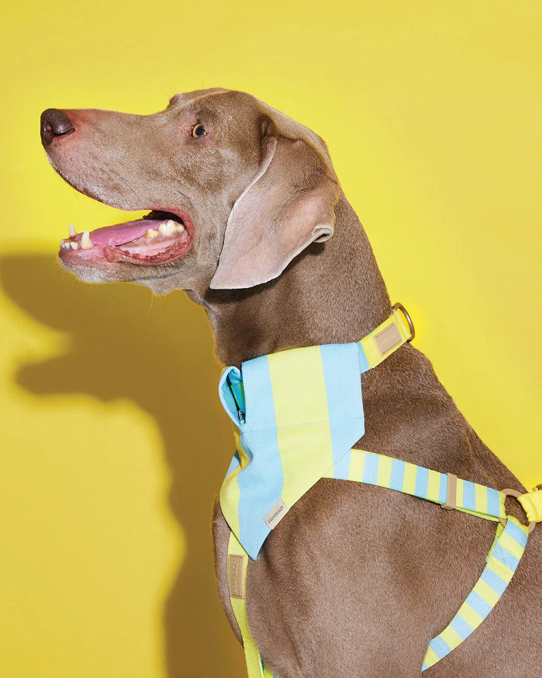 Prynwan Prynometry Triangle Bandana Yellow Baby Blue