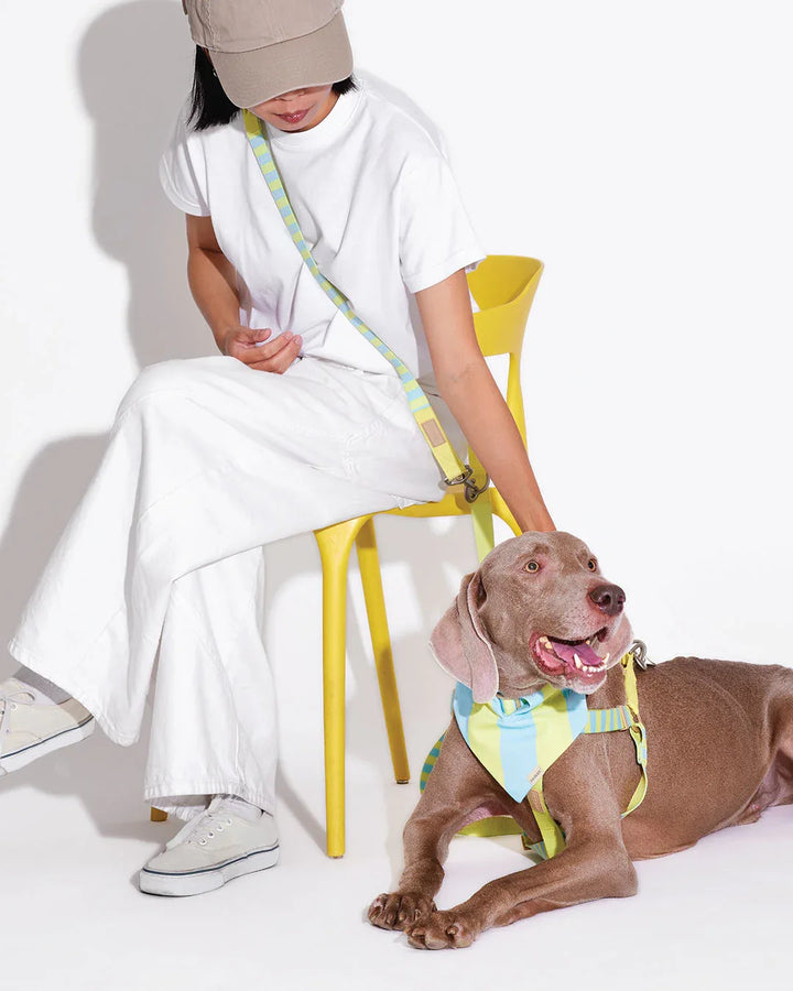 Prynwan Prynometry Triangle Bandana Yellow Baby Blue