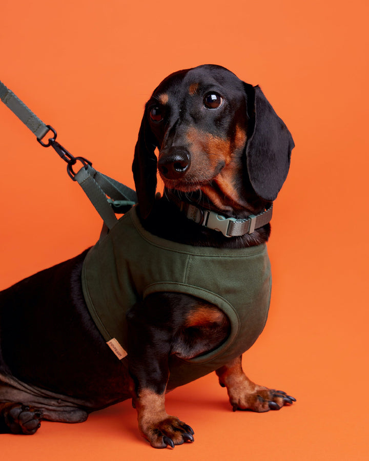 Prynwan Tone On Tone Quick Release Collar Olive Green