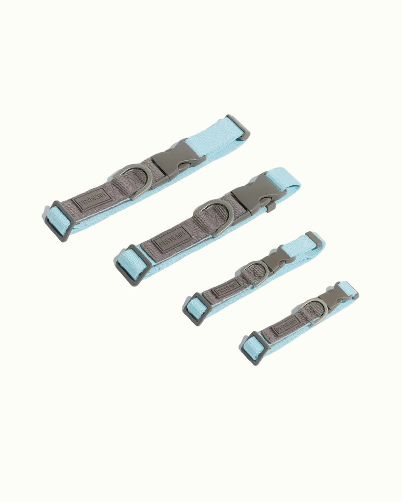 Prynwan Two Tone Quick Release Collar Baby blue Taupe