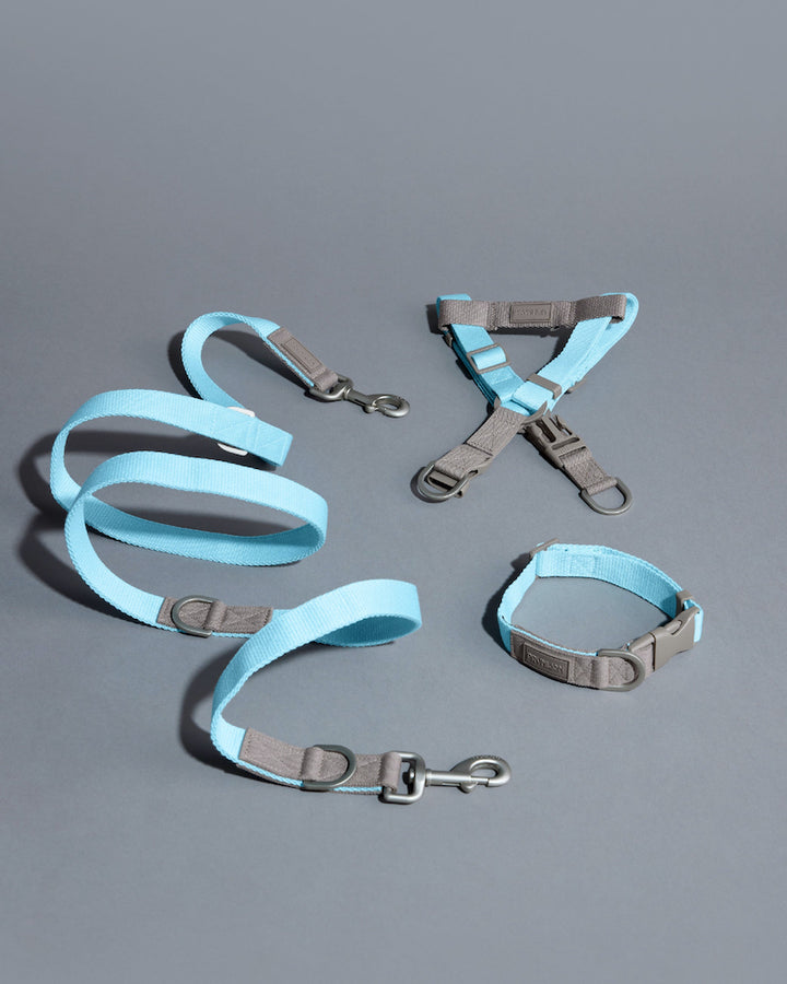 Prynwan Two Tone Quick Release Collar Baby blue Taupe