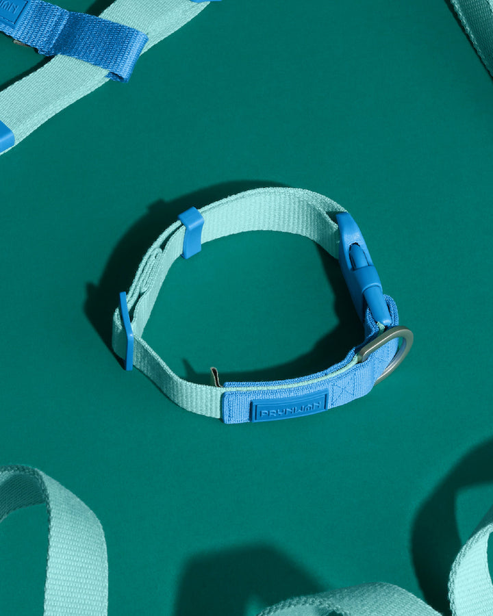 Prynwan Two Tone Quick Release Collar Mint Blue