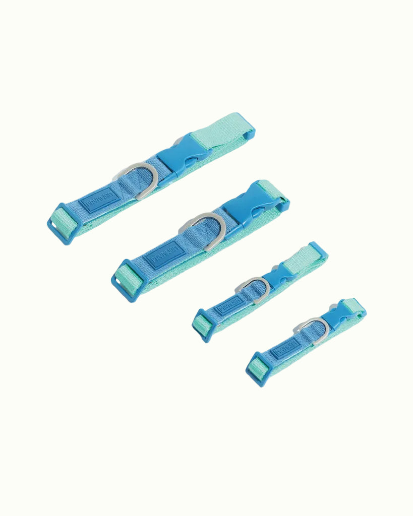 Prynwan Two Tone Quick Release Collar Mint Blue