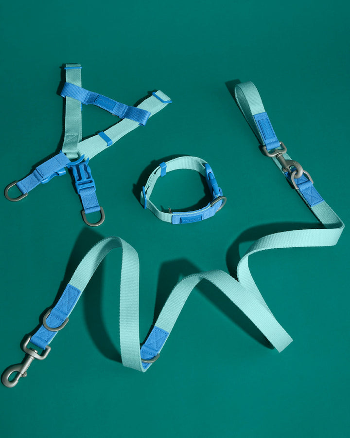 Prynwan Two Tone Quick Release Collar Mint Blue