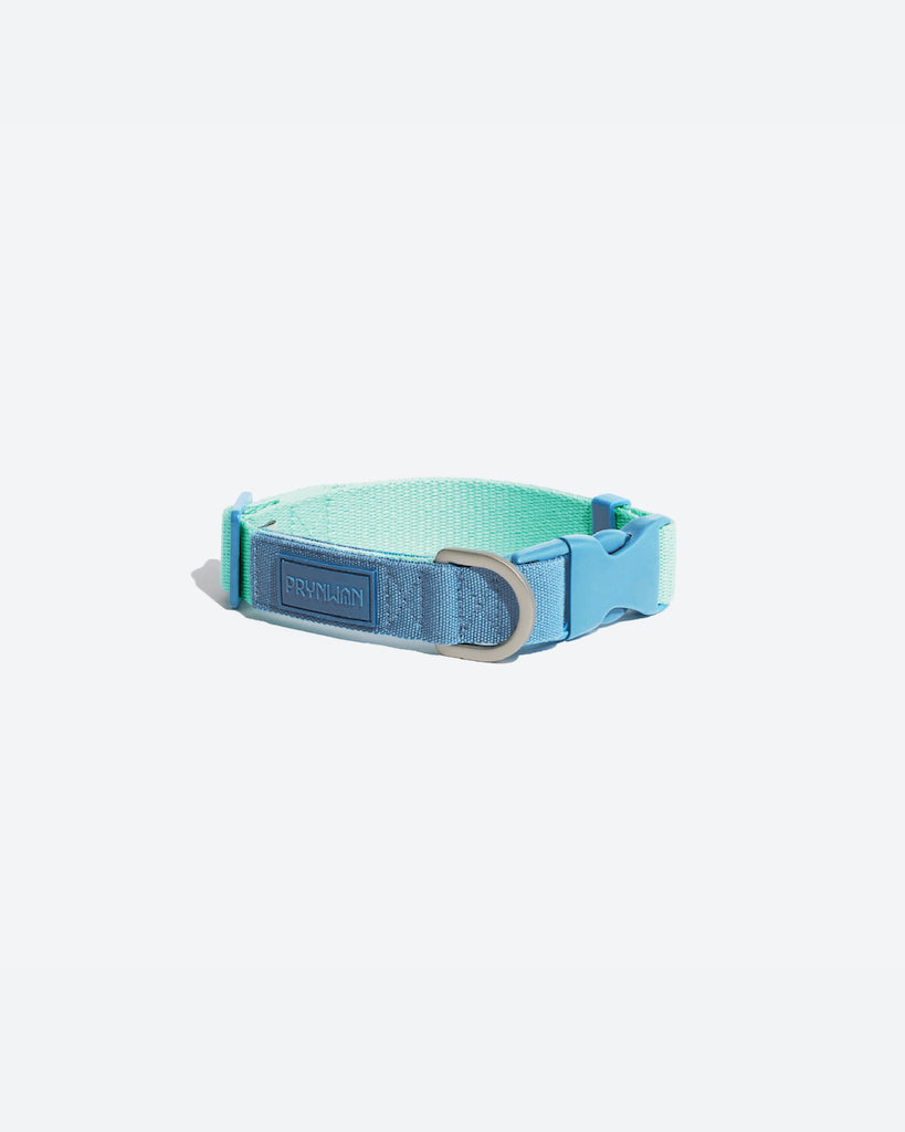 Prynwan Two Tone Quick Release Collar Mint Blue