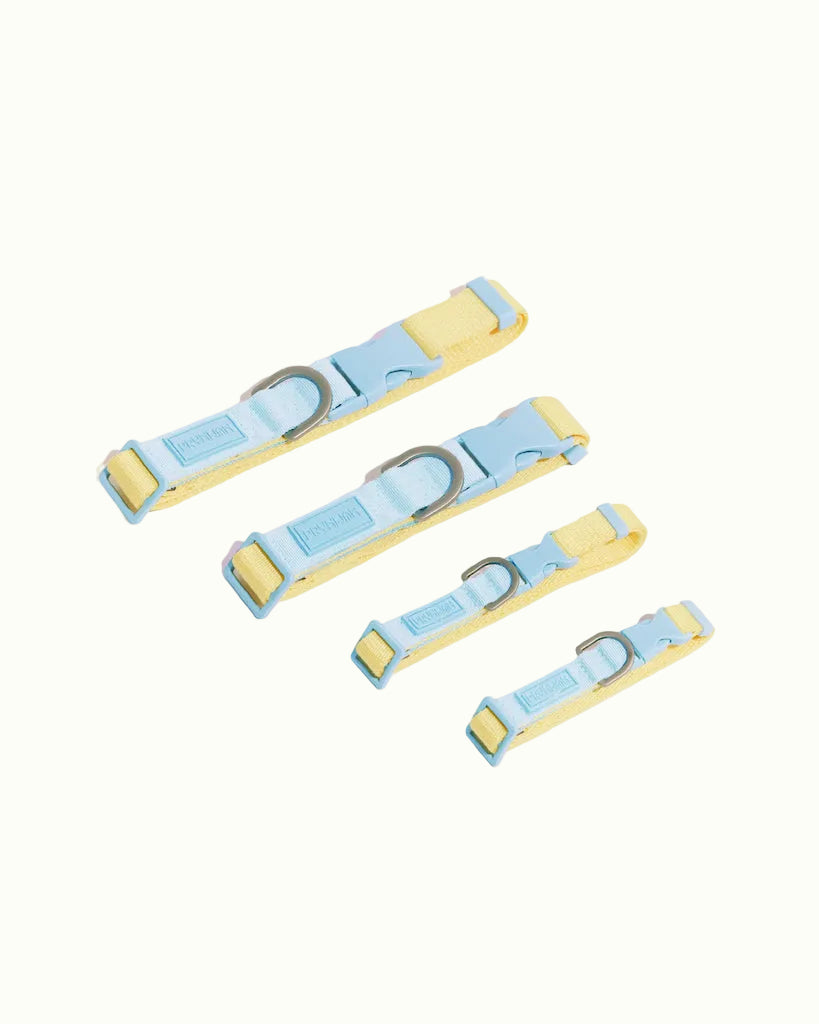 Prynwan Two Tone Quick Release Collar Yellow Blue