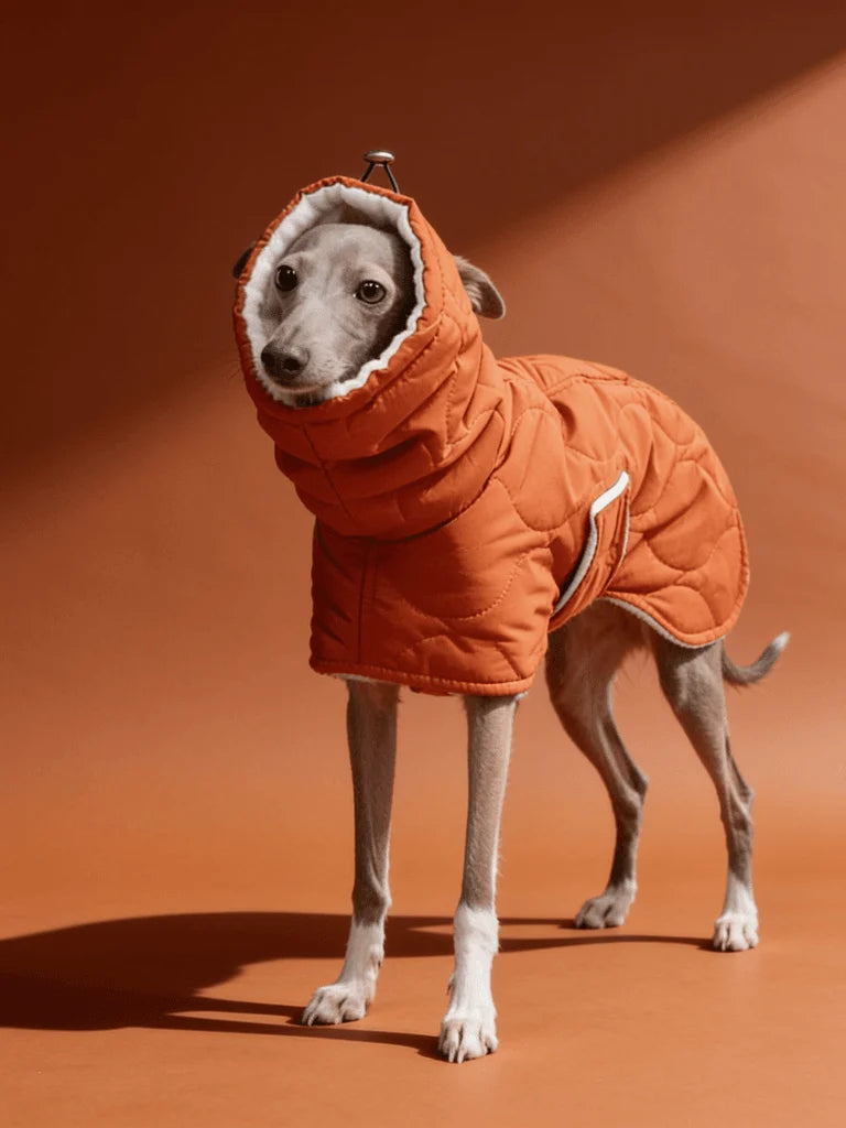 Quilted Inner Fleece Iggy and Whippet Winter Coat CityBear