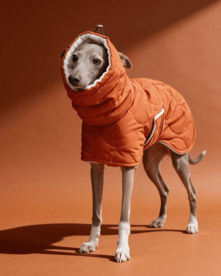 Quilted Inner Fleece Iggy and Whippet Winter Coat CityBear