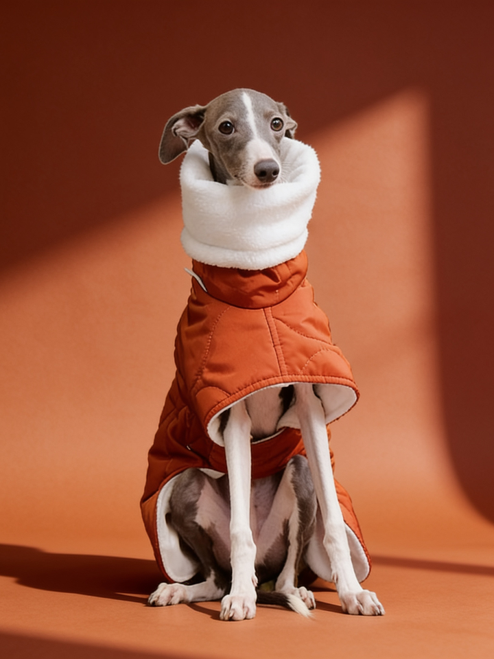 Quilted Inner Fleece Iggy and Whippet Winter Coat