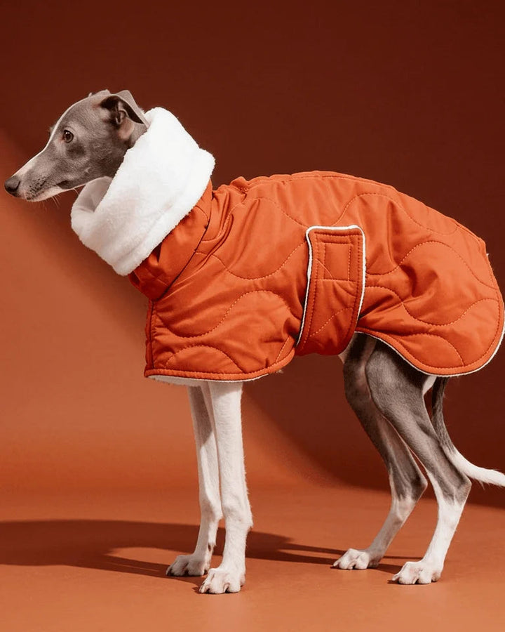 Quilted Inner Fleece Iggy and Whippet Winter Coat CityBear