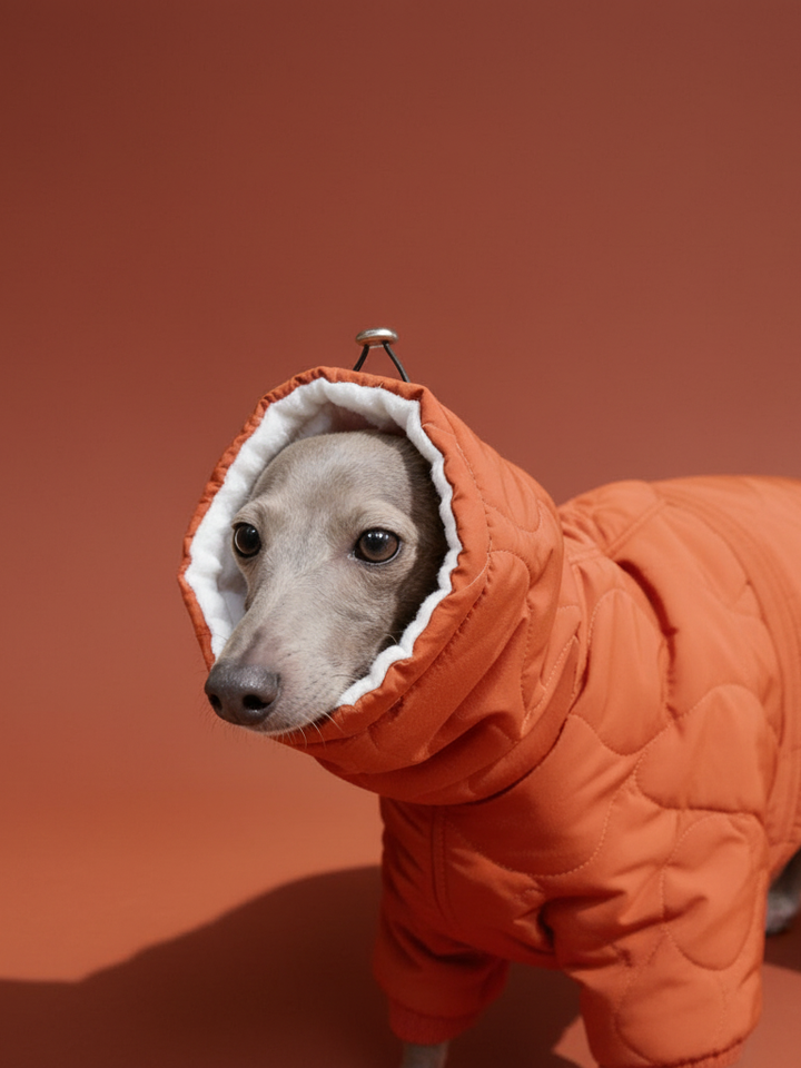 Quilted Inner Fleece Iggy and Whippet Winter Coat
