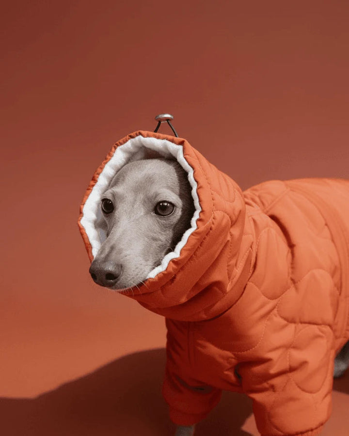 Quilted Inner Fleece Iggy and Whippet Winter Coat CityBear