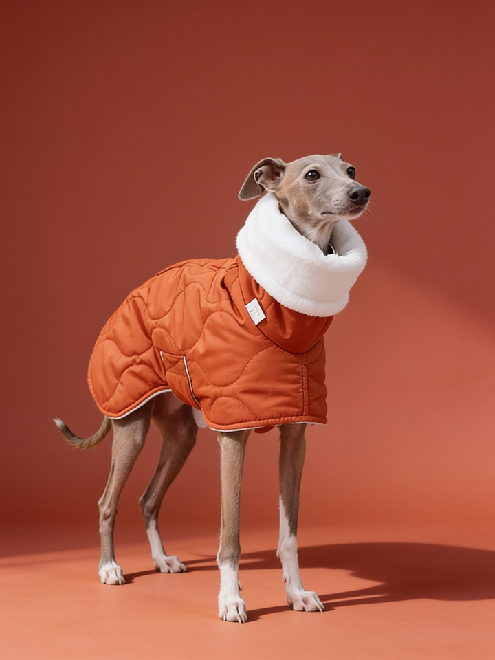 Quilted Inner Fleece Iggy and Whippet Winter Coat