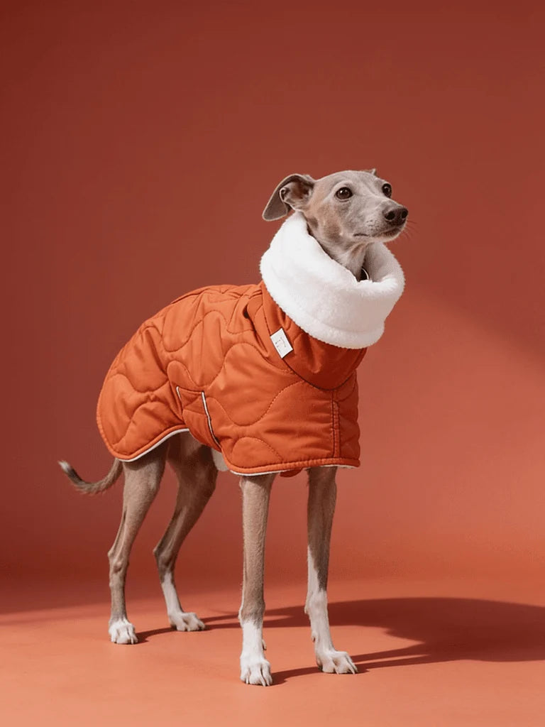 Quilted Inner Fleece Iggy and Whippet Winter Coat CityBear
