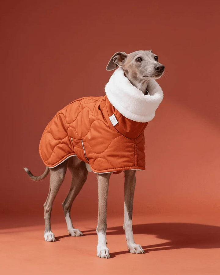 Quilted Inner Fleece Iggy and Whippet Winter Coat CityBear