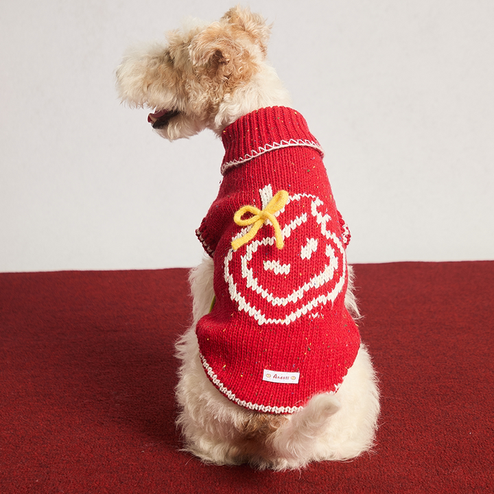 Apple Bite Pet Human Matching Knitted Sweater