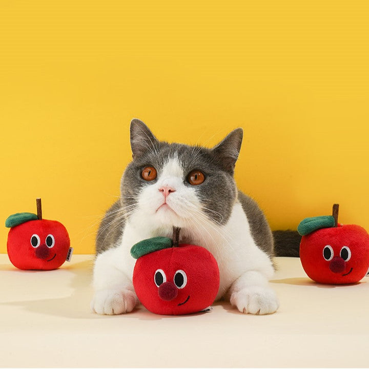 Apple wood catnip teaser wand for interactive play 