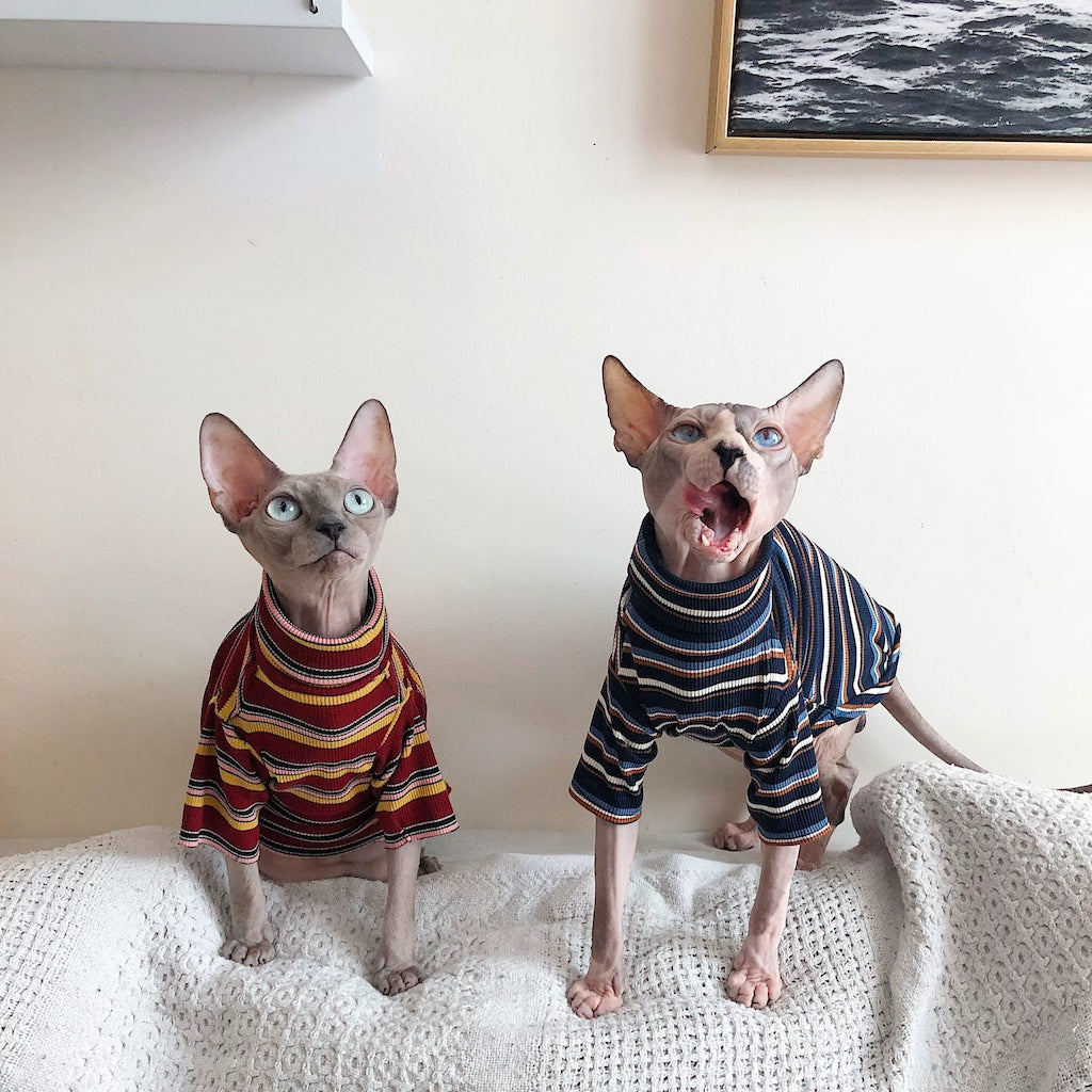 Classic Stripes Turtleneck Sphynx Cat Sweaters