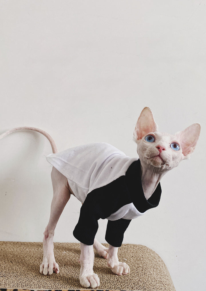 Sphynx Cat Clothes Cat Baseball Tee Cat & Kitten Tops Cat Tee Shirts Cat Clothing Pet Apparel Devon Rex Clothes for Spring Autumn