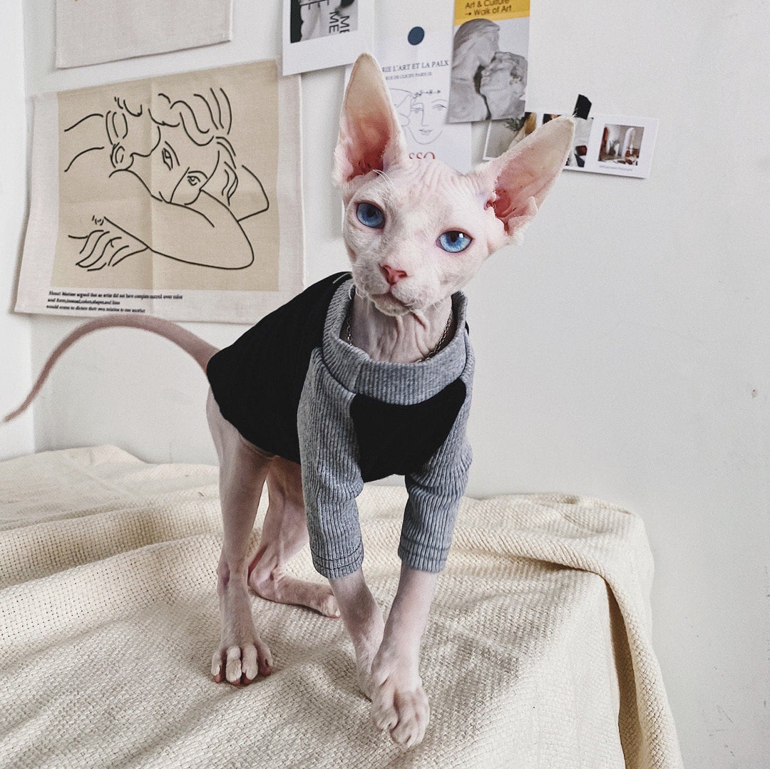 Sphynx Cat Clothes Cat Baseball Tee Cat & Kitten Tops Cat Tee Shirts Cat Clothing Pet Apparel Devon Rex Clothes for Spring Autumn