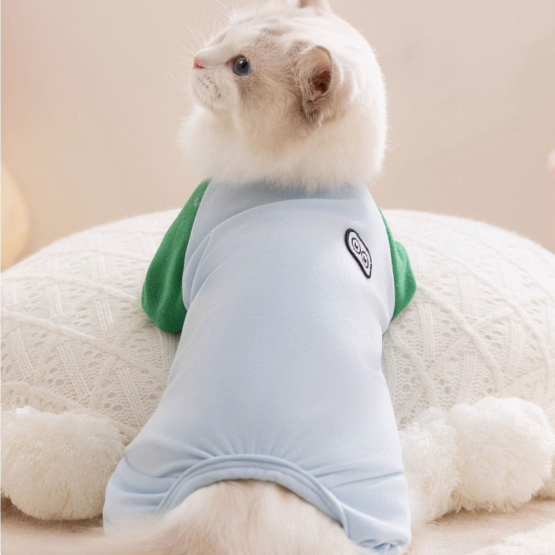 Cat wearing a light blue and green shirt  on a white cushion.
