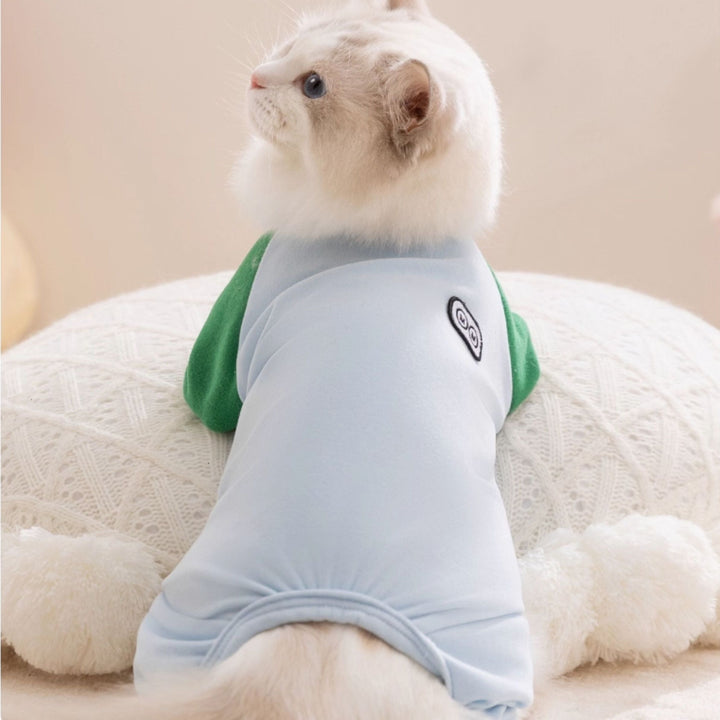 Cat wearing a light blue and green shirt  on a white cushion.