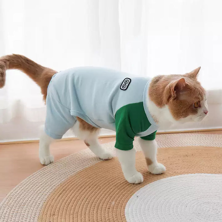 Cat wearing a light blue and green outfit on a carpeted floor.