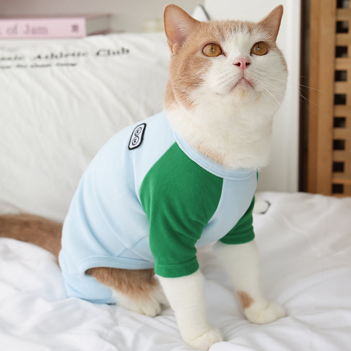 Cat wearing a green and light blue outfit on a white surface