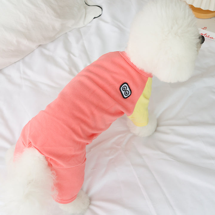 Small white dog wearing a colorblock outfit on a bed