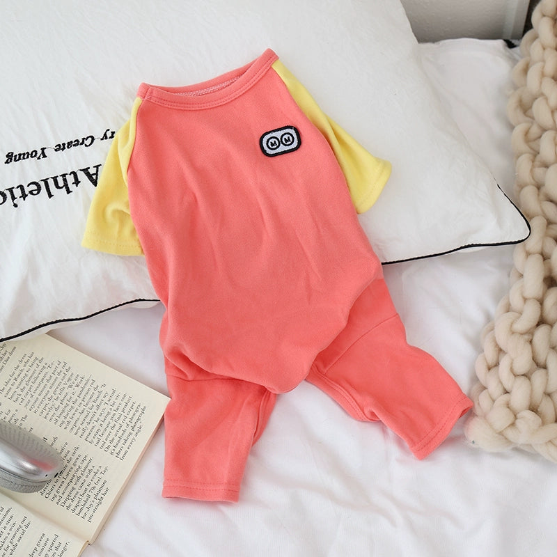 LightCoral pet's outfit on a white surface with an open book and textured blanket.