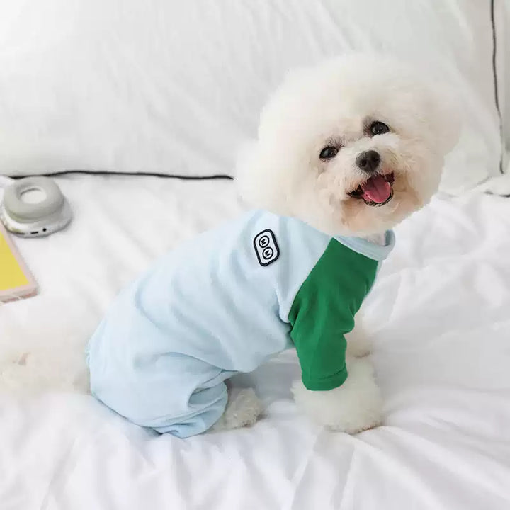 Small white dog wearing a light blue and green outfit on a white bed.