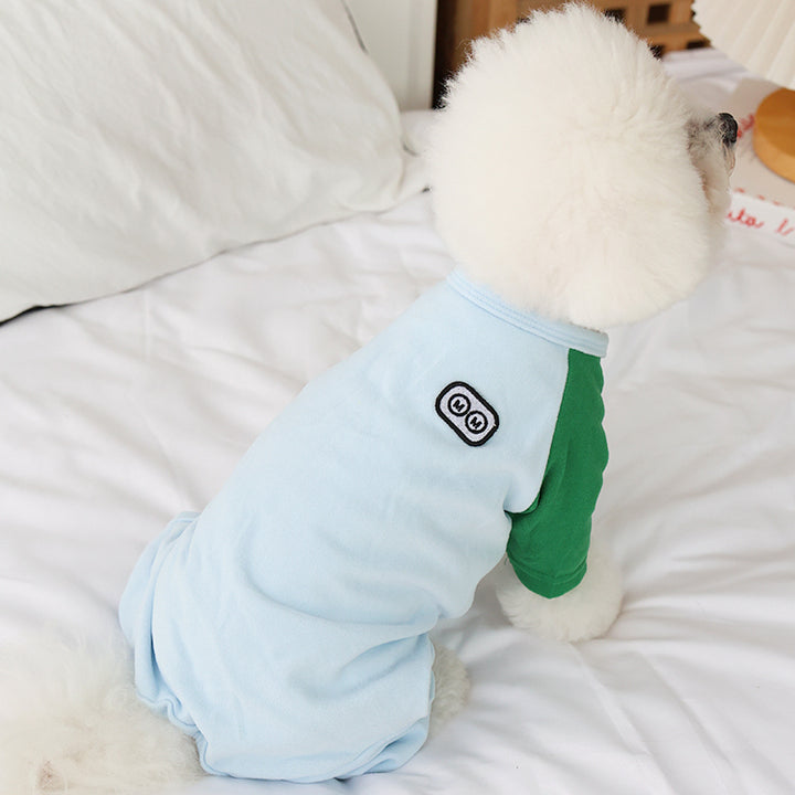 Small white dog wearing a light blue and green outfit on a white bed.