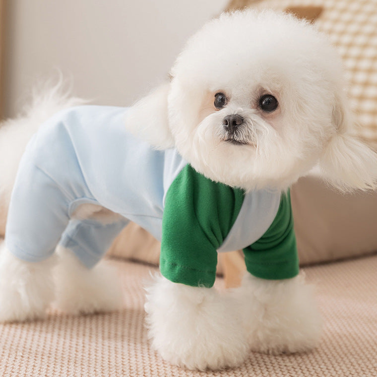 Small white dog wearing green and light blue pajamas on a beige surface