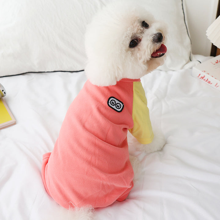 Small white dog wearing a colorblock outfit on a white bed.